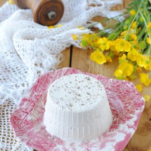 ricotta vegetale fatta in casa ricetta di pasticciandoconlafranca